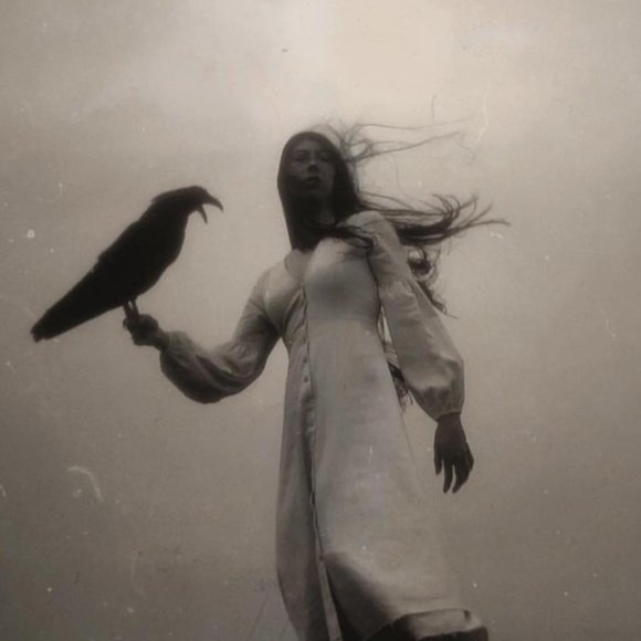 NWOT | Sisters of the Black Moon Zinnia Dress (Sold Out!) - Picture 7 of 9